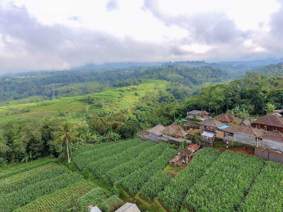 Pondok Nyoman Bedugul  Eksteriør bilde