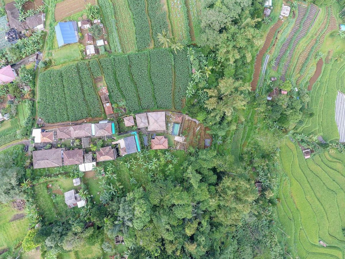 Pondok Nyoman Bedugul  Eksteriør bilde